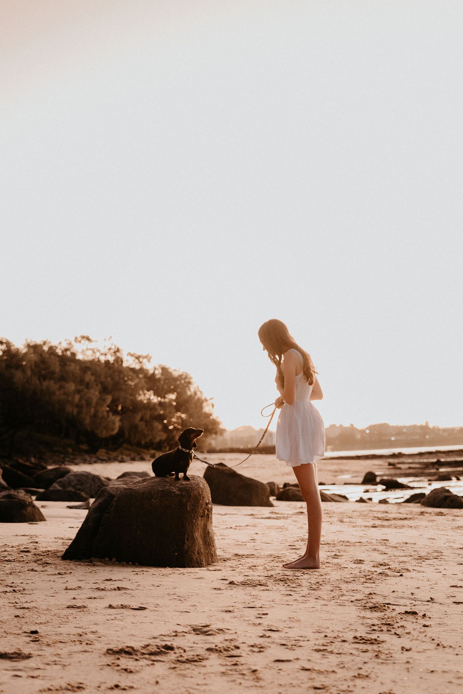 Dog and companion share a moment on rocky beach at sunset.