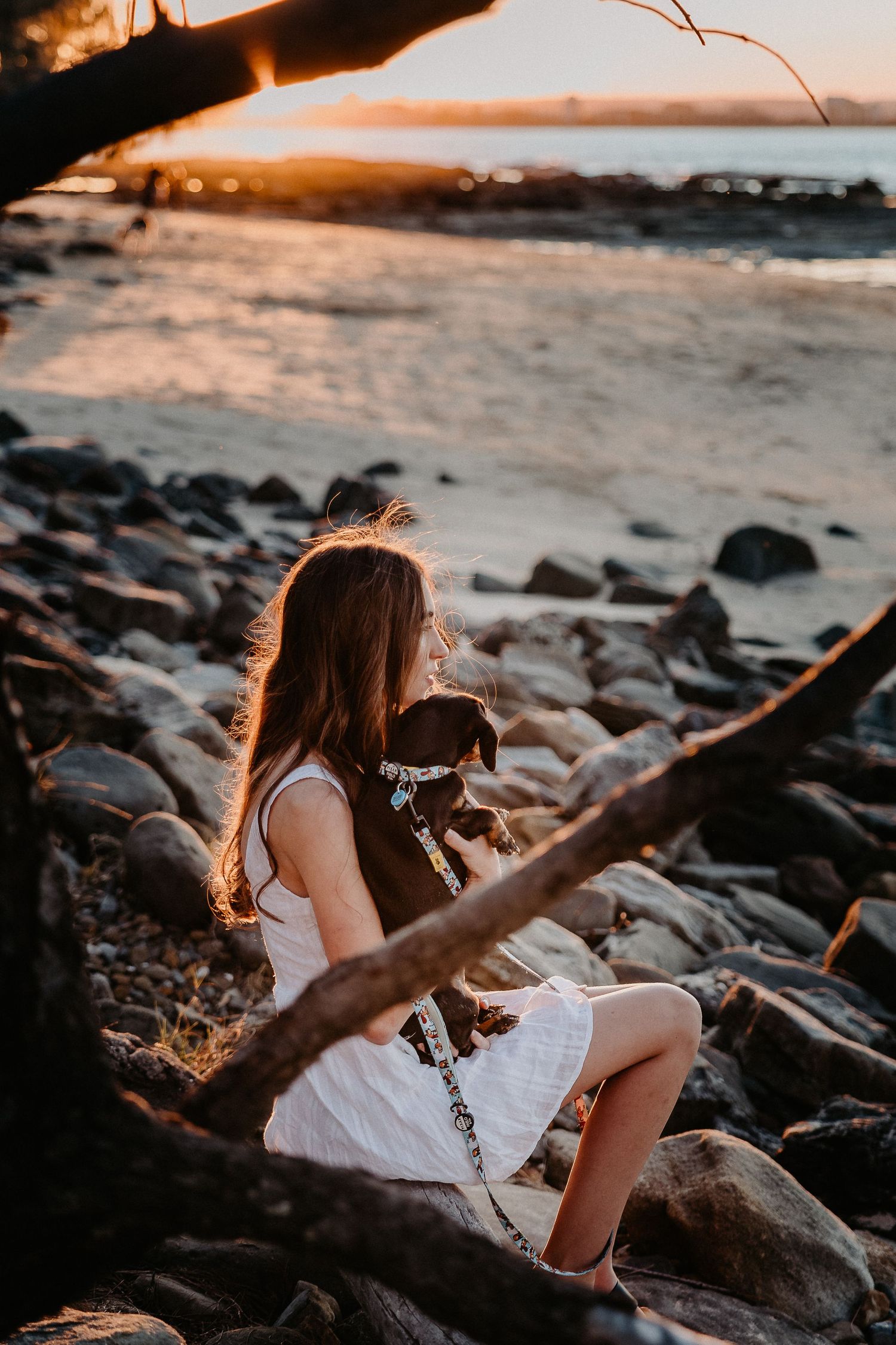 A person and small dog sitting on rocky beach at sunset.