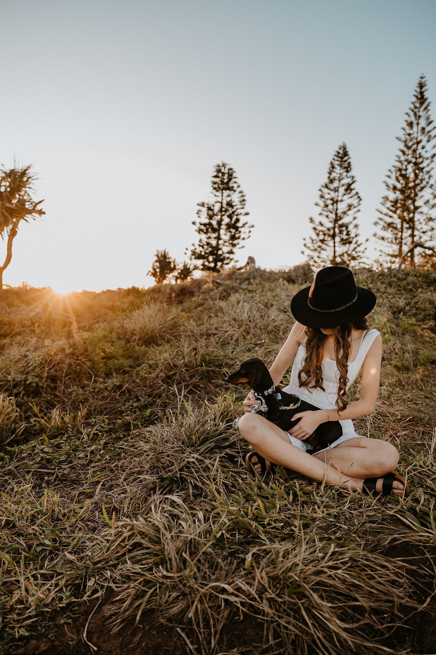 A person in a hat sitting on a grassy hill with a small dog during golden hour.