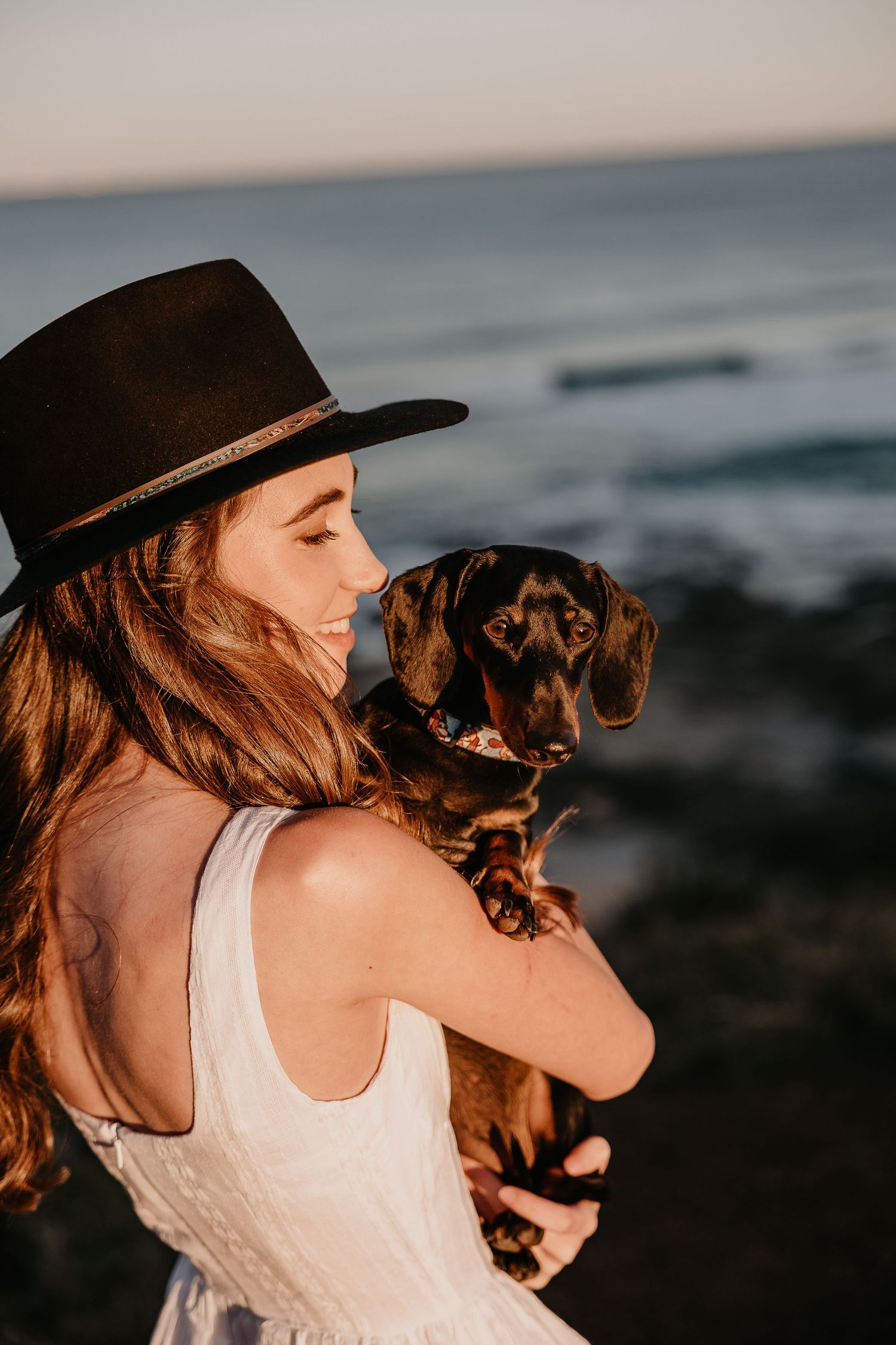 A dachshund being held near the ocean at sunset.
