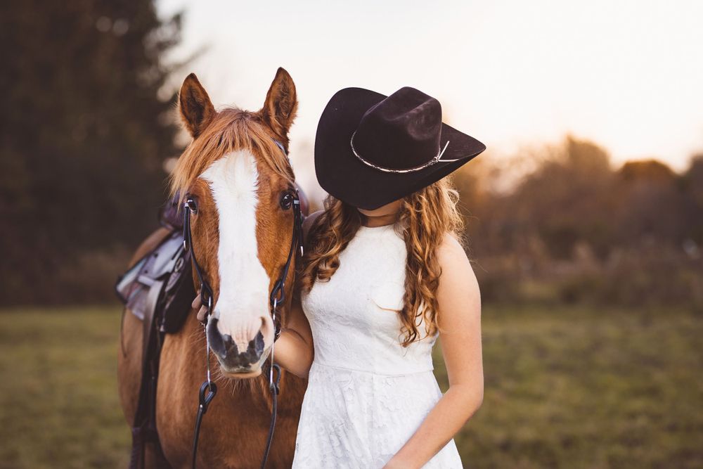 western chestnut quarter horse with cowgirl  captured by q2 photography