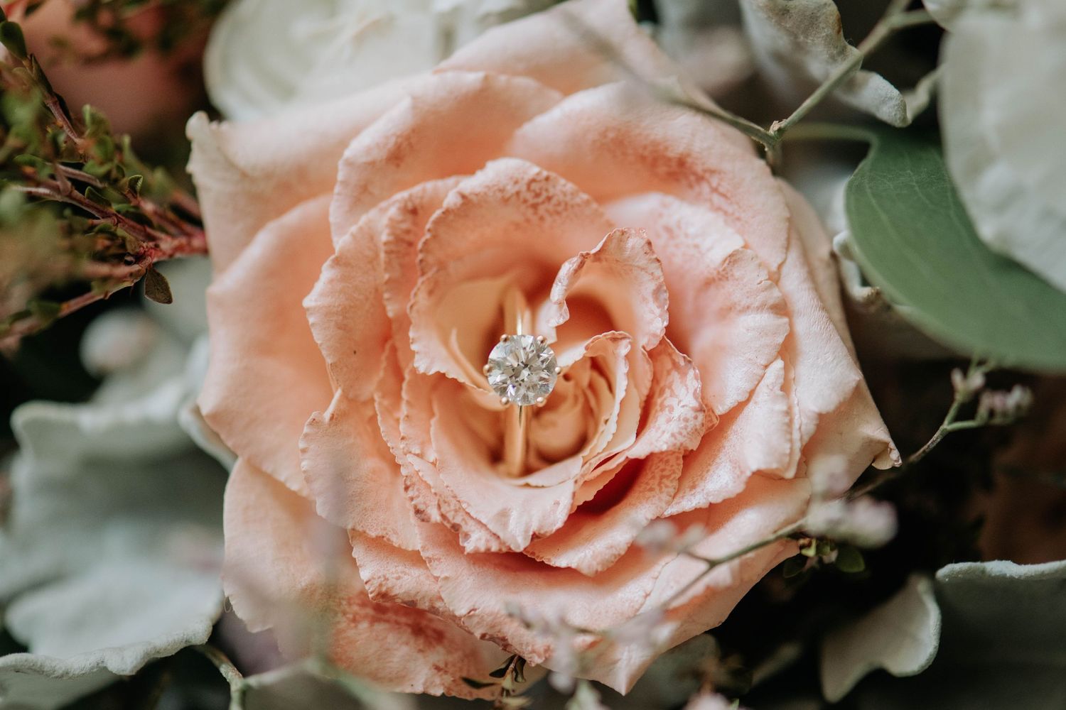 A close-up of a sparkly engagement ring nestled in a blush pink rose.
