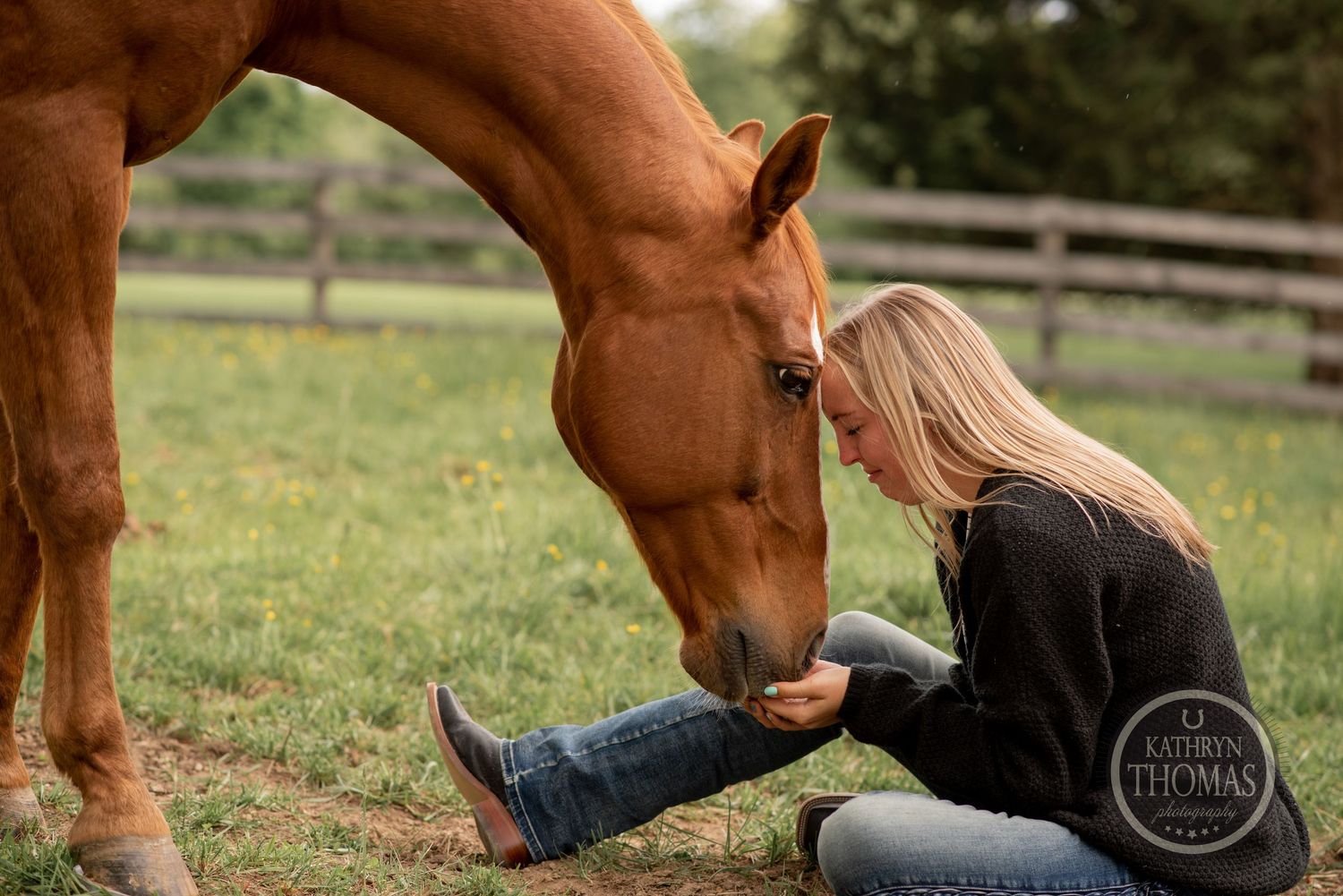 A heartwarming moment between a chestnut horse and companion sitting in grass near wooden fence.