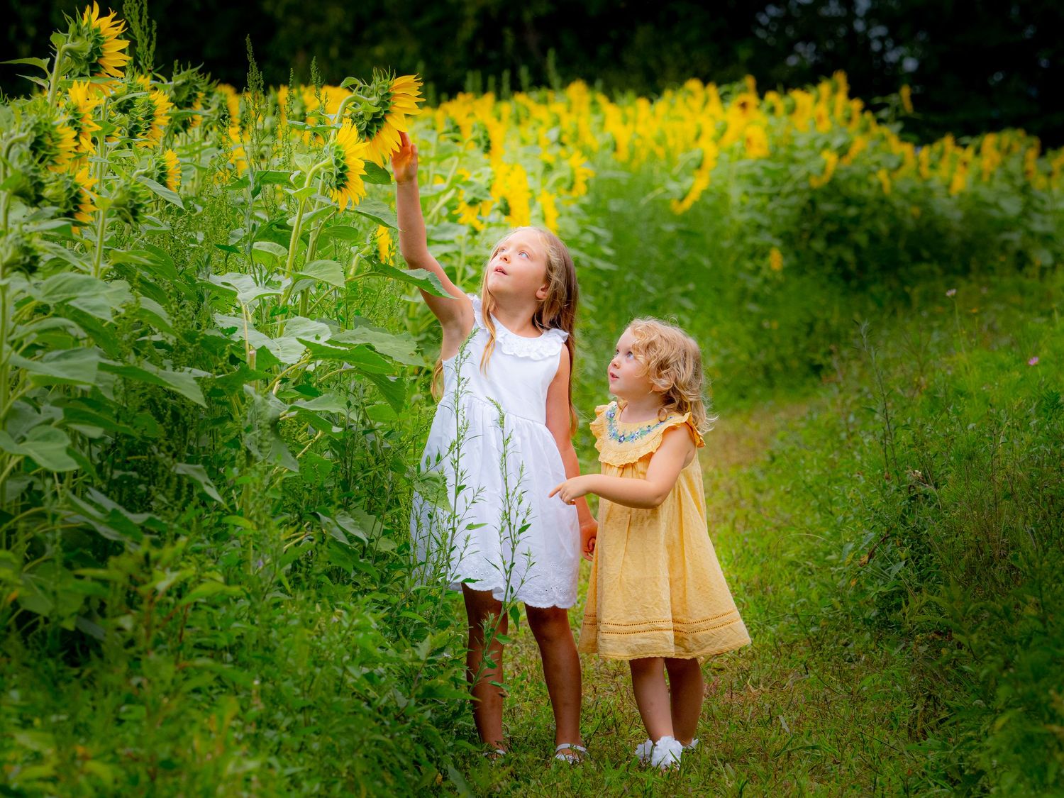 Marco Fossalto Photography - female children - lifestyle color photo - children in sunflower field