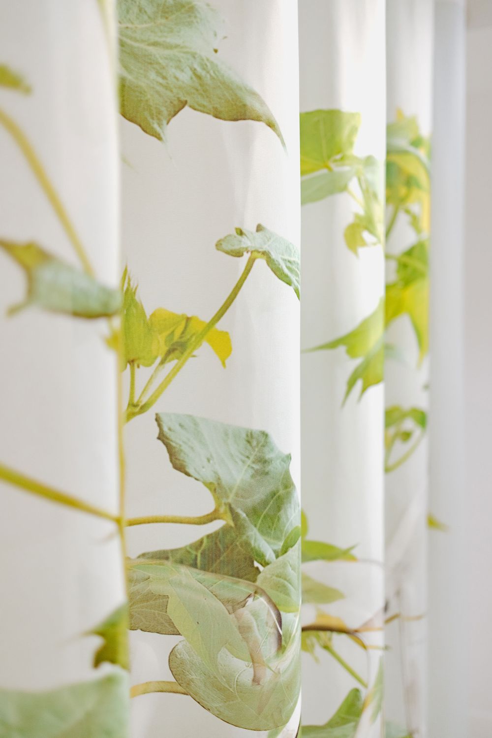 Soft green leaves visible through white translucent curtain panels in natural light.