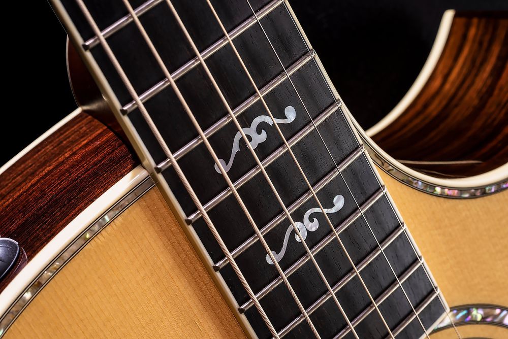 guitar neck and fret board