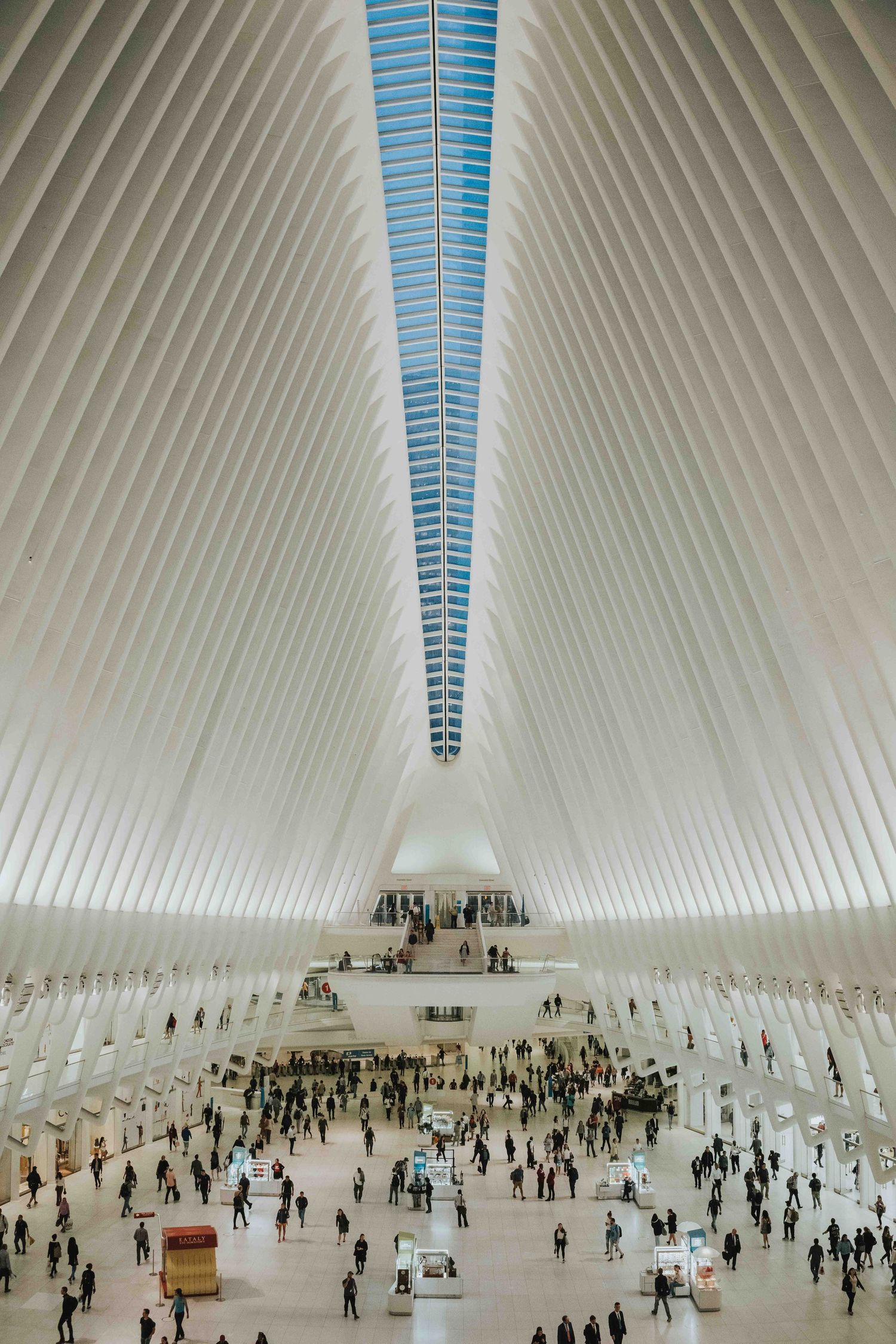 NY ocolus calatrava arquitectura fotografía tulum
