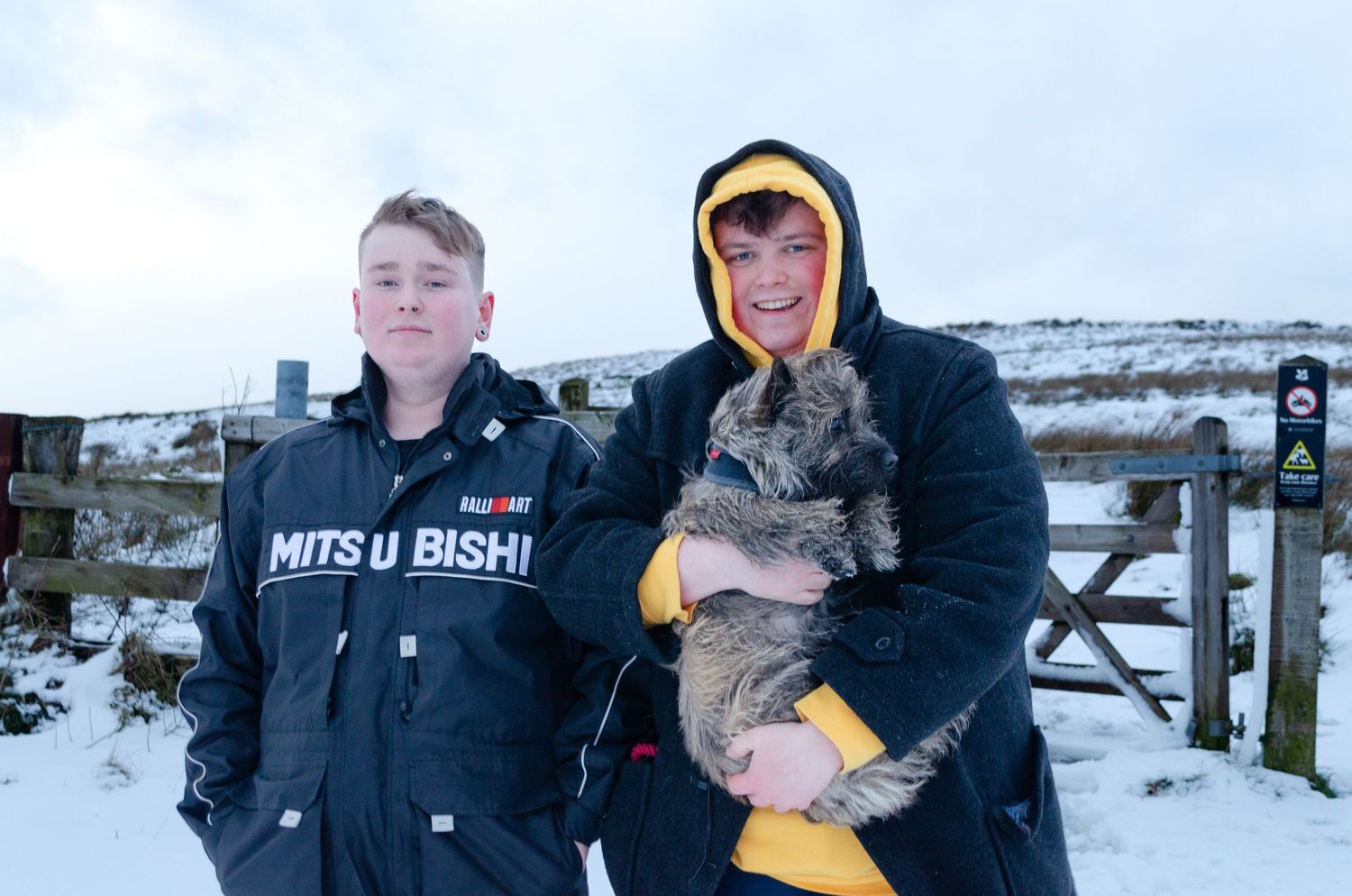 national trust, portraits, mountain, belfast , divis