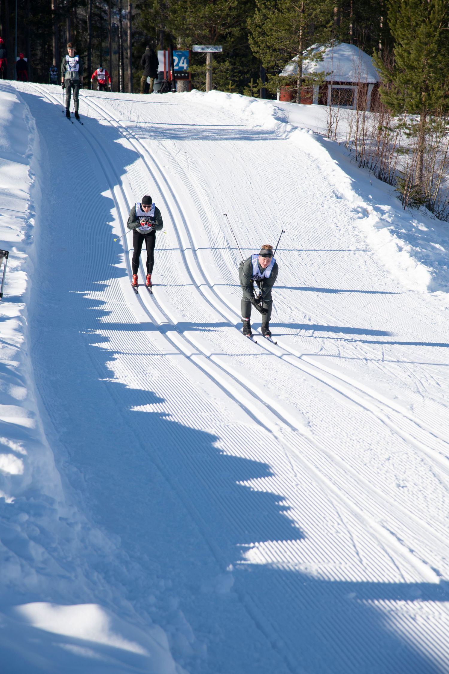 fotograf dalarna