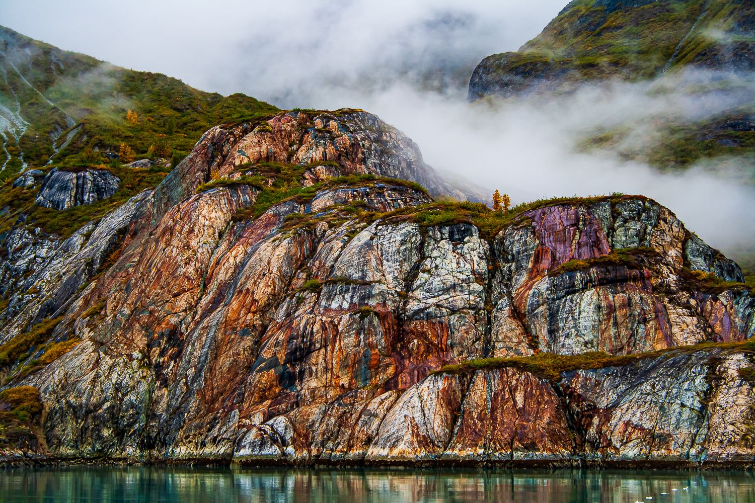 Landscape Picture of the Hopkins Glacier, Color