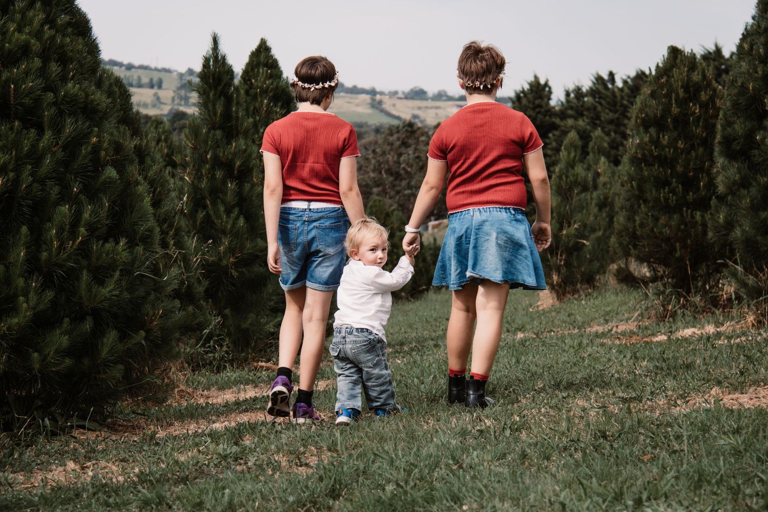 Christmas trees, two sisters with their toddler brother