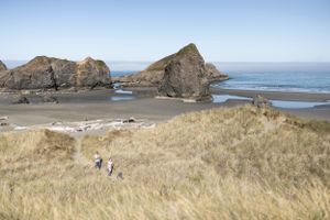 Aerial view of people walking through golden coastal grass toward rocky sea stacks on a scenic Oregon beach.