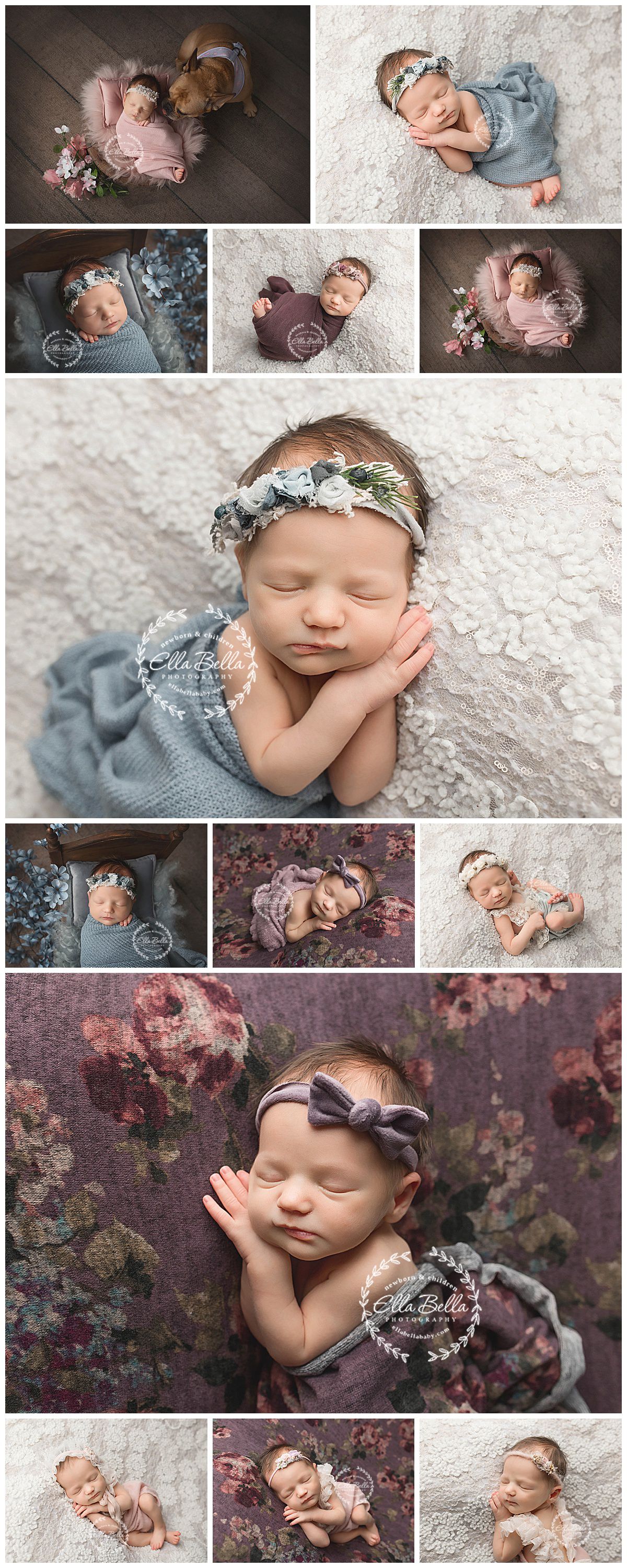 Professional newborn photo collage featuring baby in various poses with floral and vintage styling.