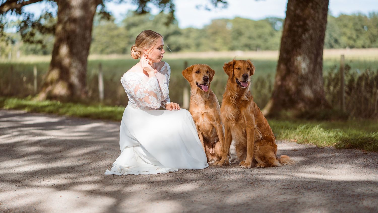 Bride in white dress sitting on a path with two golden retrievers posed beside her under trees.