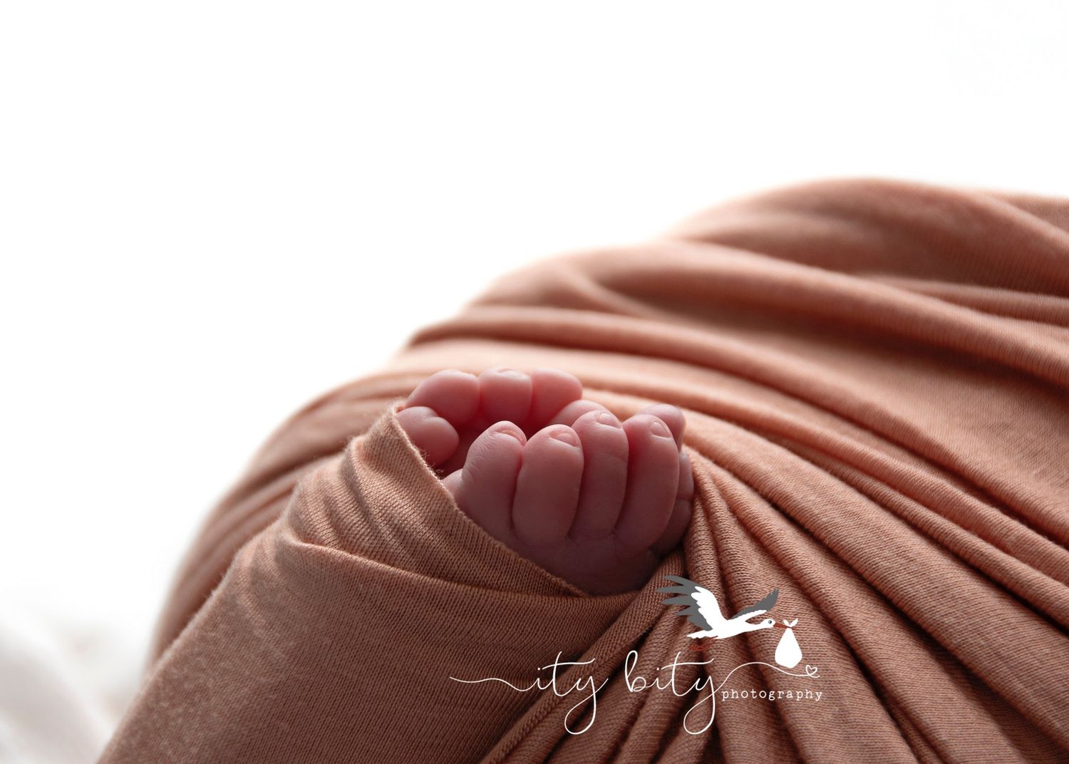 Baby Nora North Olmsted Newborn Photographer Toes