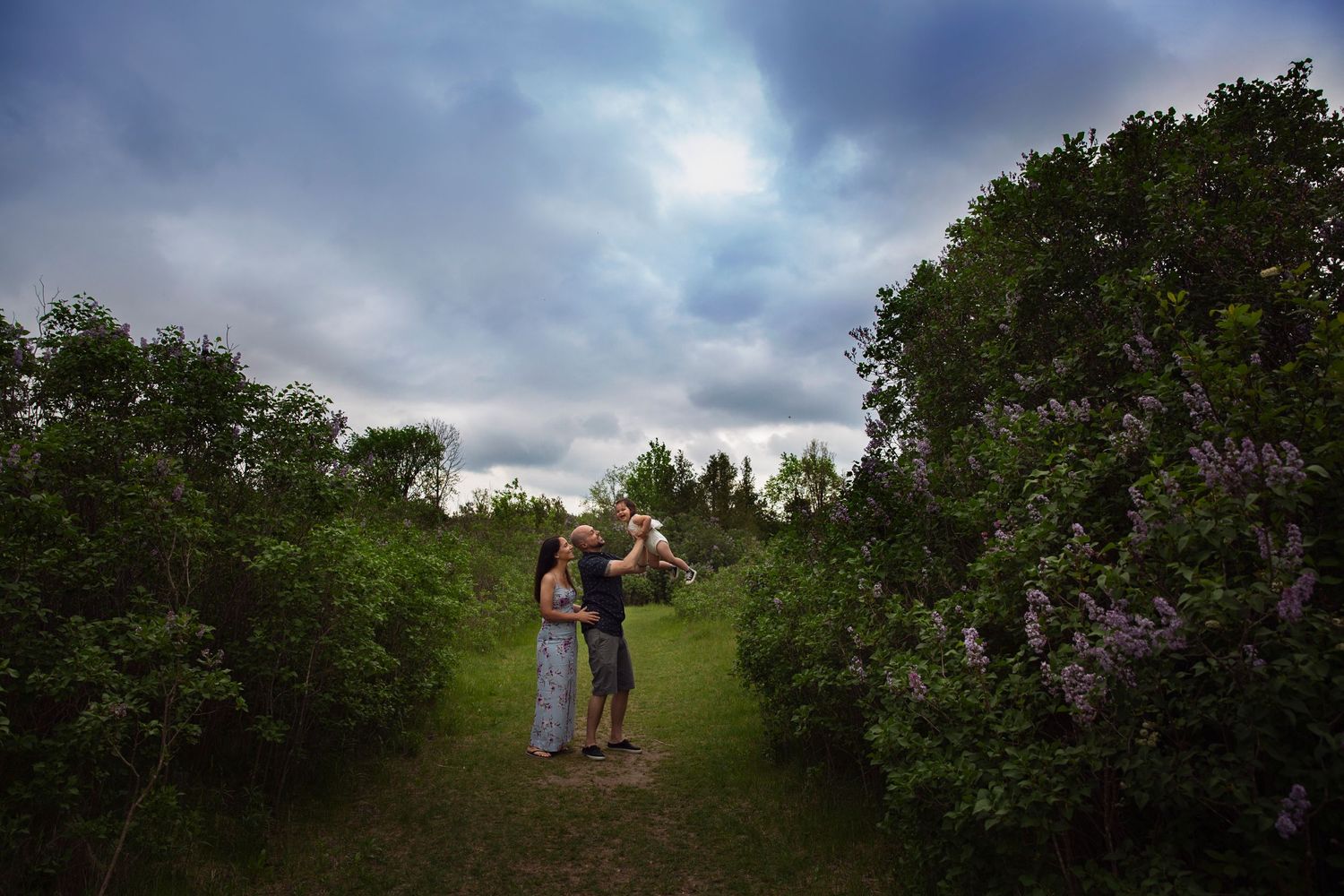 Couple standing in garden path surrounded by blooming lilac bushes.