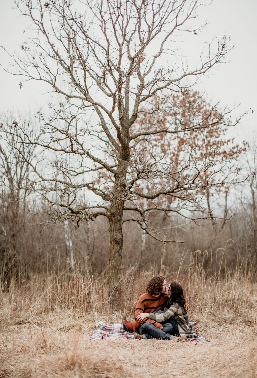 Couple sharing a romantic kiss on a plaid blanket beneath a bare winter tree in a golden field.