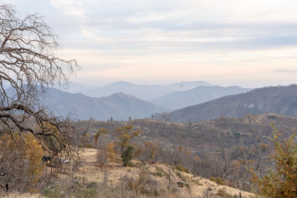 Barren mountain landscape with burnt trees stretching across rolling hills in winter light.