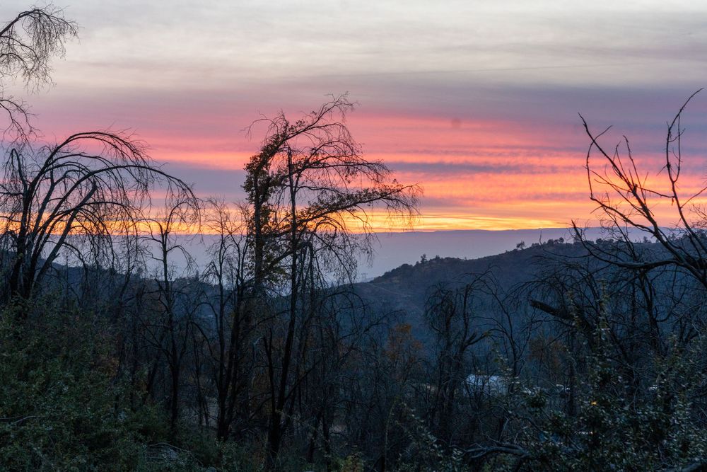Silhouetted bare trees against a colorful purple and orange sunset sky over mountain ridges.
