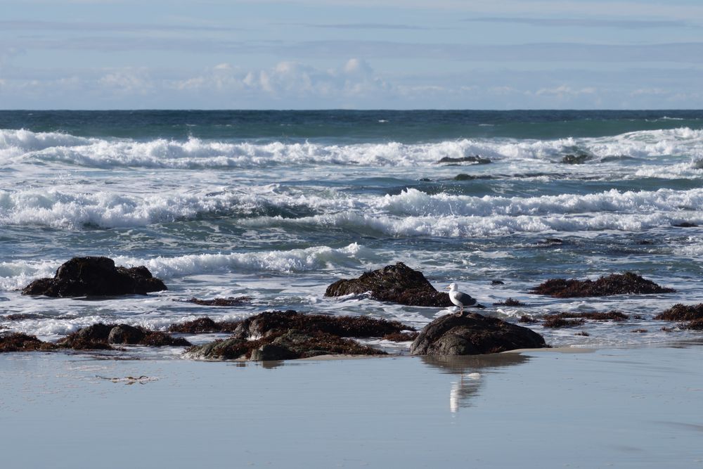 Panoramic seascape with waves crashing against rocky coastline under cloudy sky.
