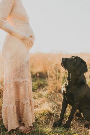 Maternity photo featuring a pregnant woman in a lace dress standing with a black dog in a golden field at sunset.