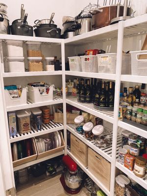 Organization