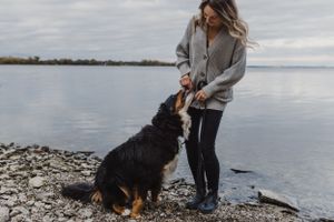 Fall mini sessions in Prince Edward County, Ontario Charlotte Buckle Photography