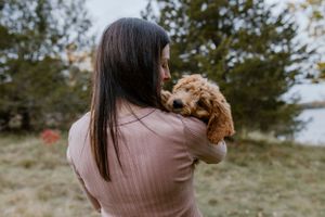 Fall mini sessions in Prince Edward County, Ontario Charlotte Buckle Photography
