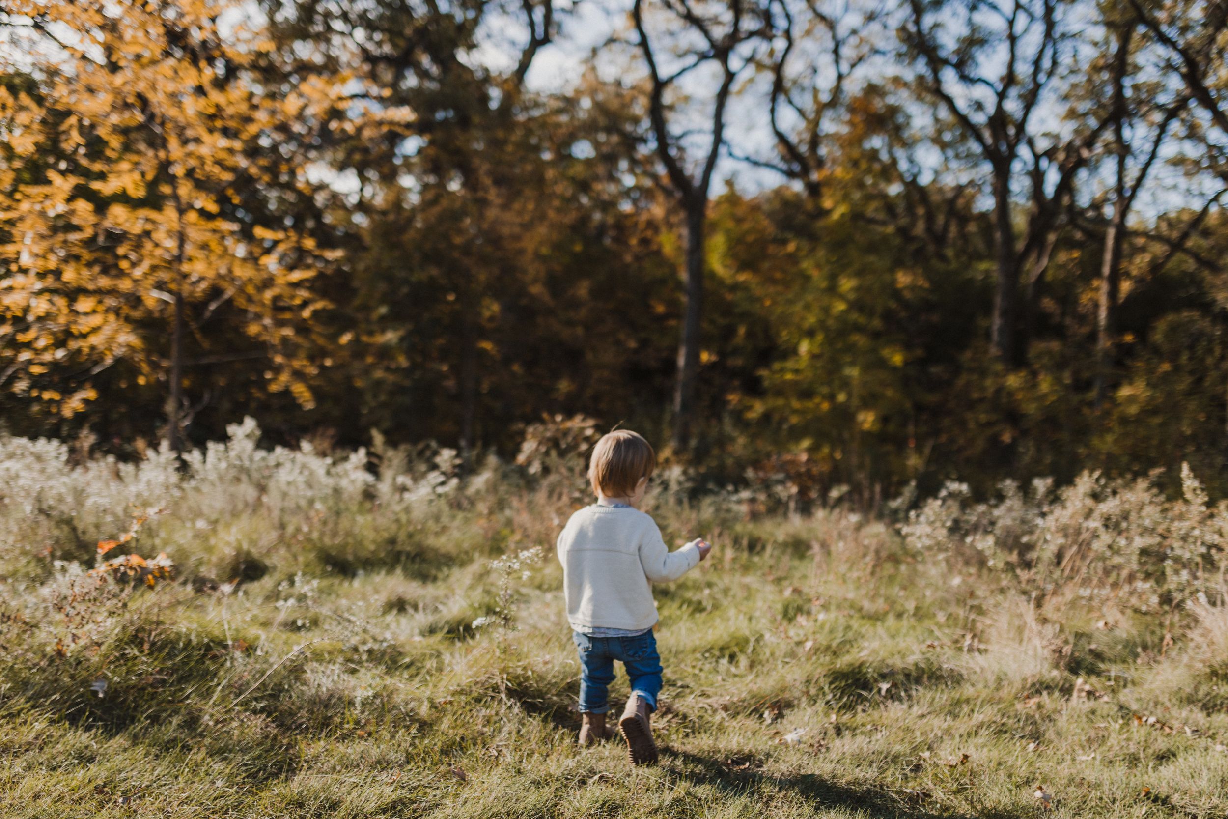 Fall mini sessions in Prince Edward County, Ontario Charlotte Buckle Photography