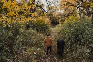 Fall mini sessions in Prince Edward County, Ontario Charlotte Buckle Photography