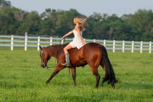 Horses loping in a green pasture with white fencing on a sunny day.