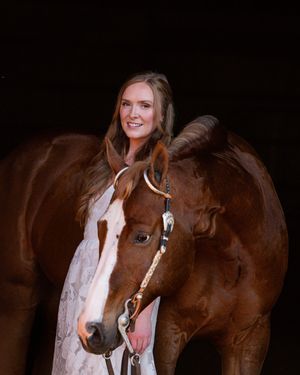 Beautiful brown horse photographed in dramatic studio lighting against a black backdrop.