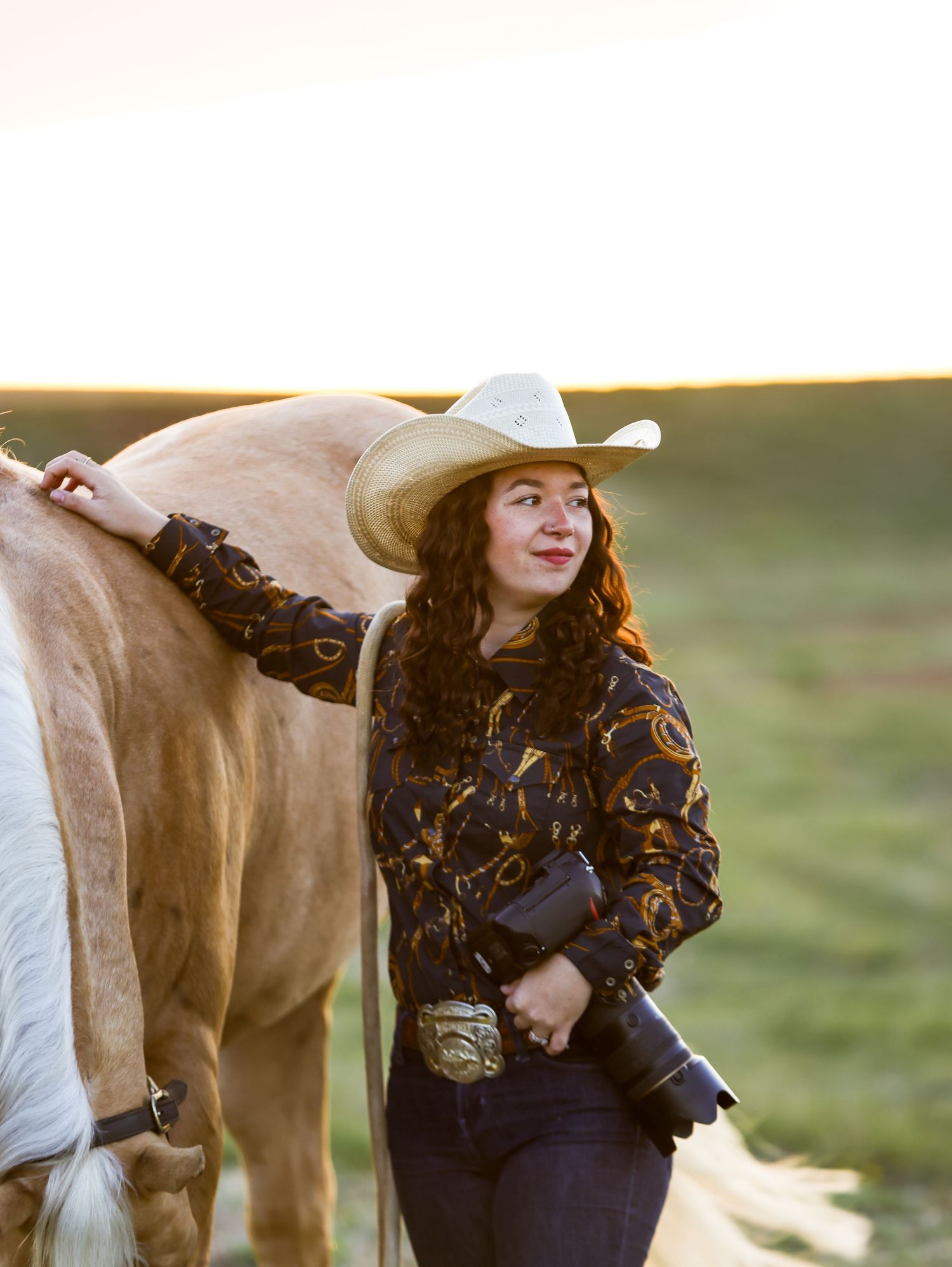A white horse and rider in golden afternoon sunlight.