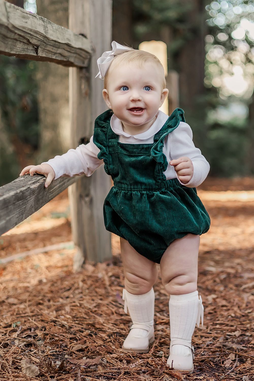 first birthday milestone session in Sonoma County. Healdsburg mini session in the redwoods.