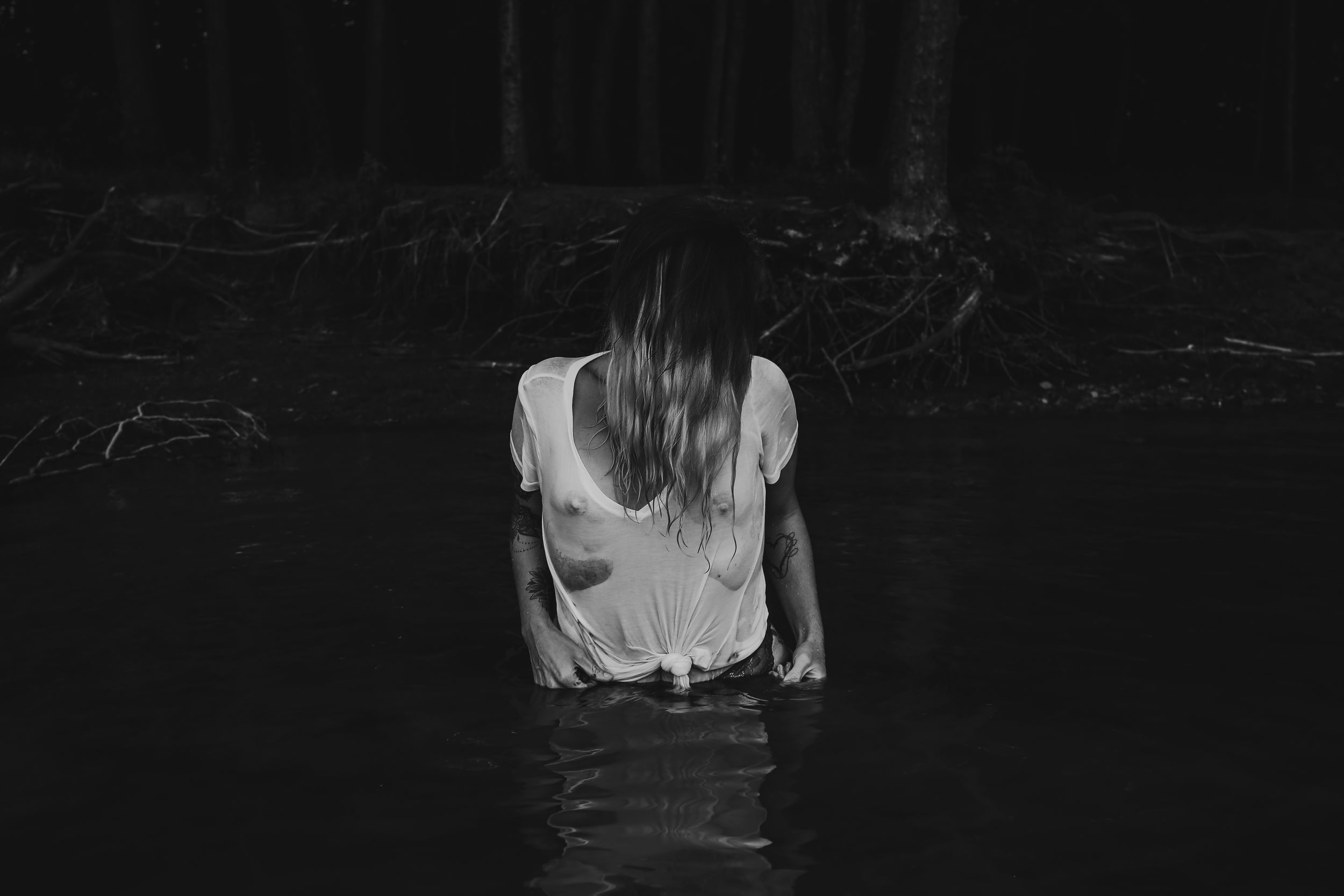 Dark silhouettes in water create moody artistic composition in low light setting.