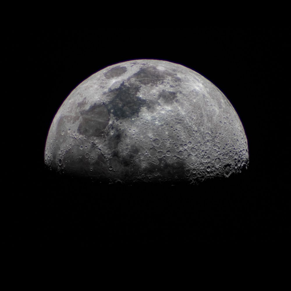 Half moon showing detailed surface craters against black space background.