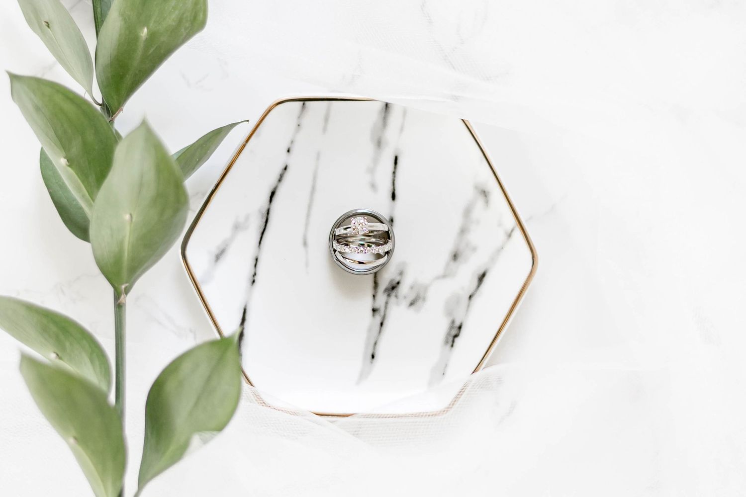 rings