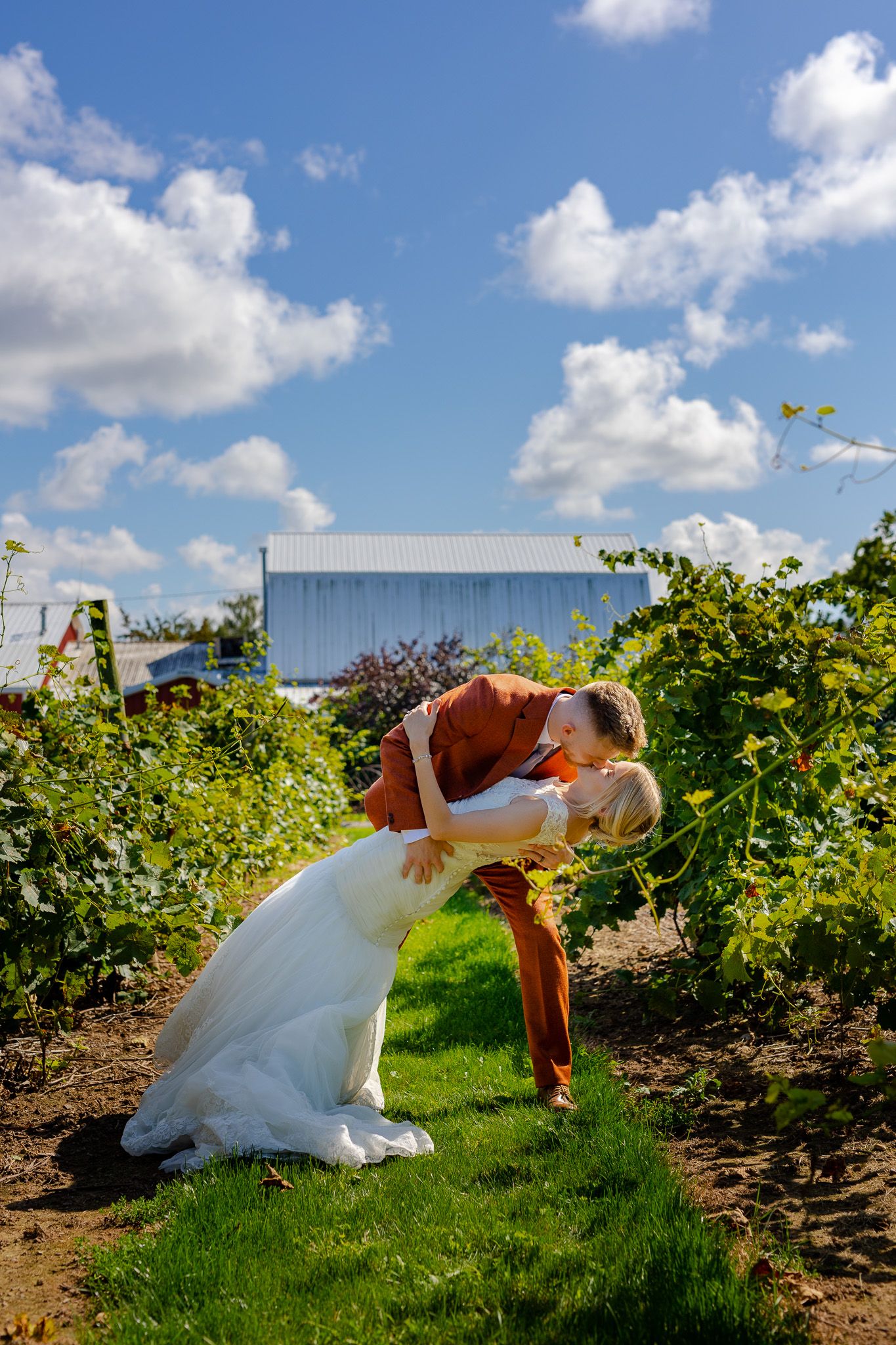 A dramatic dip kiss between newlyweds in a sunny vineyard setting.