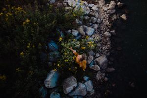 Sunlit rocks and vegetation create a moody natural setting at dusk.