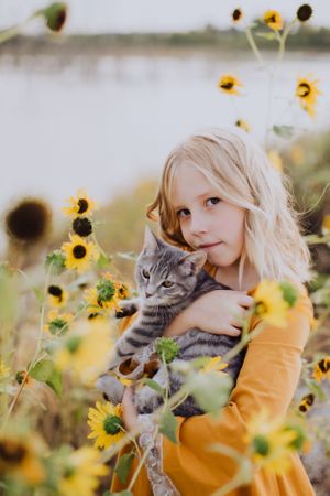 A tabby cat being held among blooming yellow sunflowers in a field.
