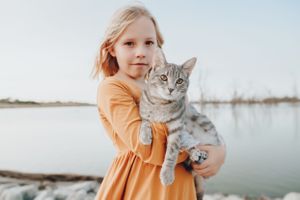 A gray tabby cat being held while wearing a blue collar outdoors.