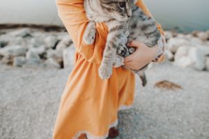 A striped gray cat is held against an orange dress near a rocky shoreline.