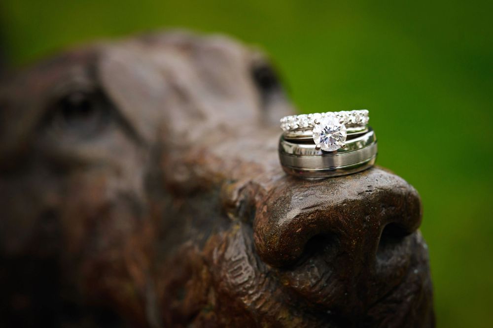 Wedding rings at Chagrin Valley Hunt Club.