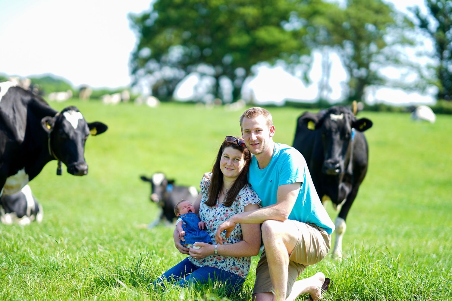 Couple sitting in green field with curious black and white cows approaching in background.