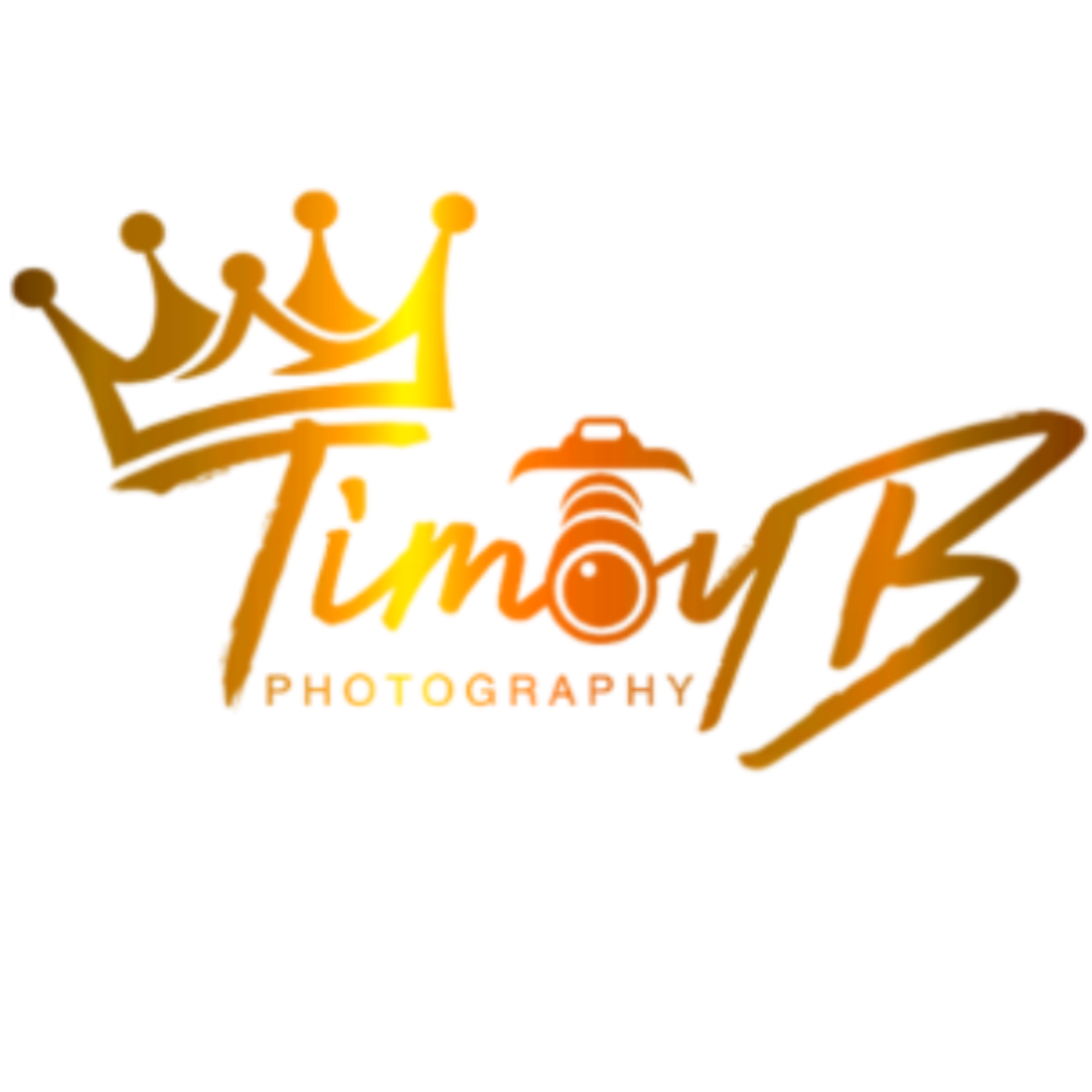 Close-up of gold Timoy B crown logo — branding photography by Timoy B Photography.