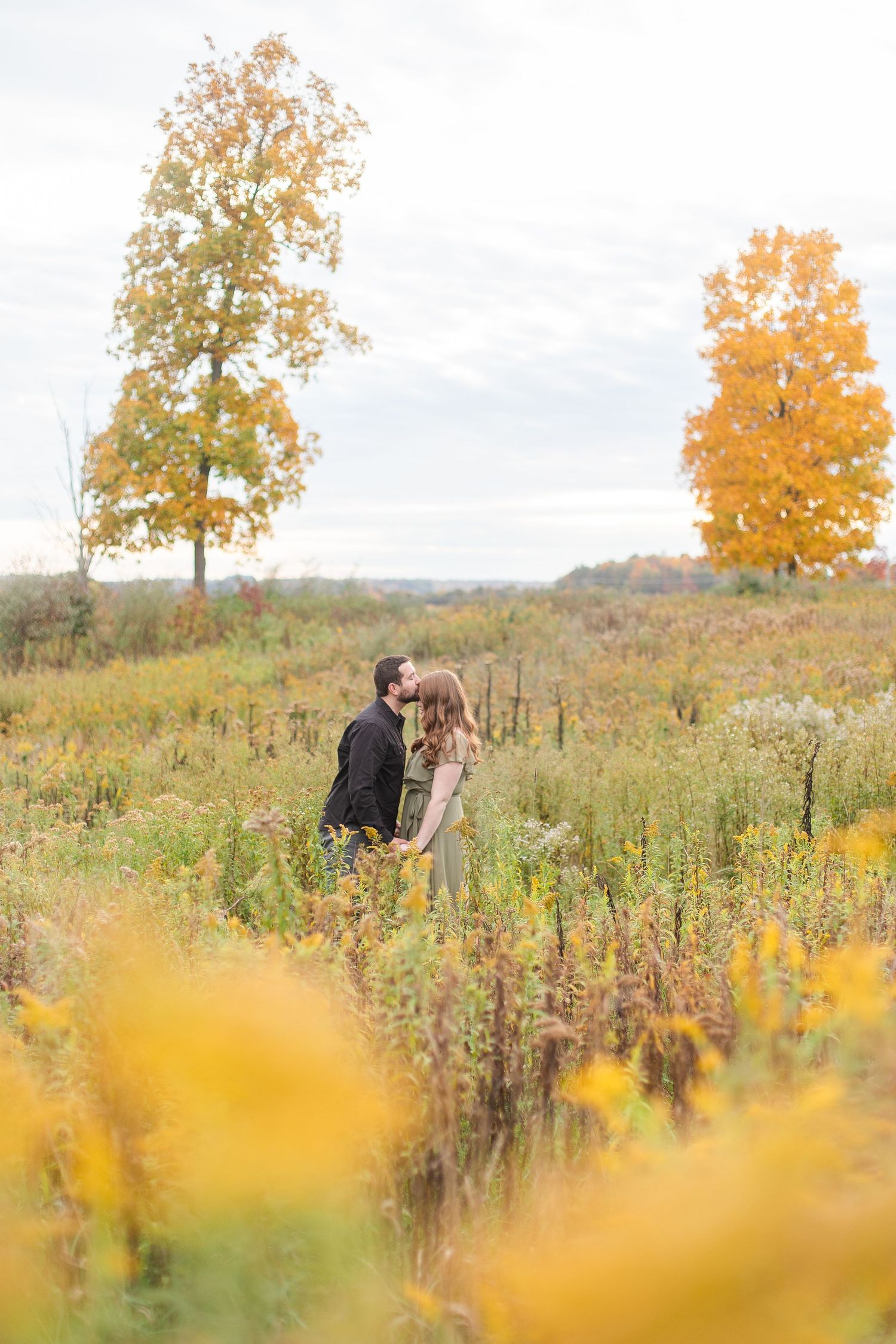 Tall golden grass and autumn trees create a romantic fall scene in a rural field.