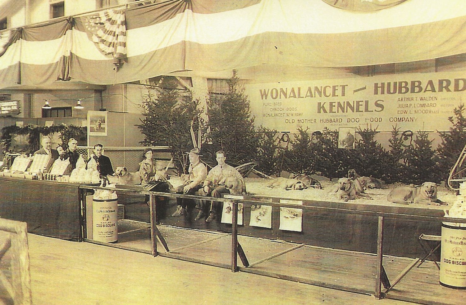 Wonalancet Hubbard Kennels with Chinook Dogs and Arthur Walden exhibiting at a sportsman's show.