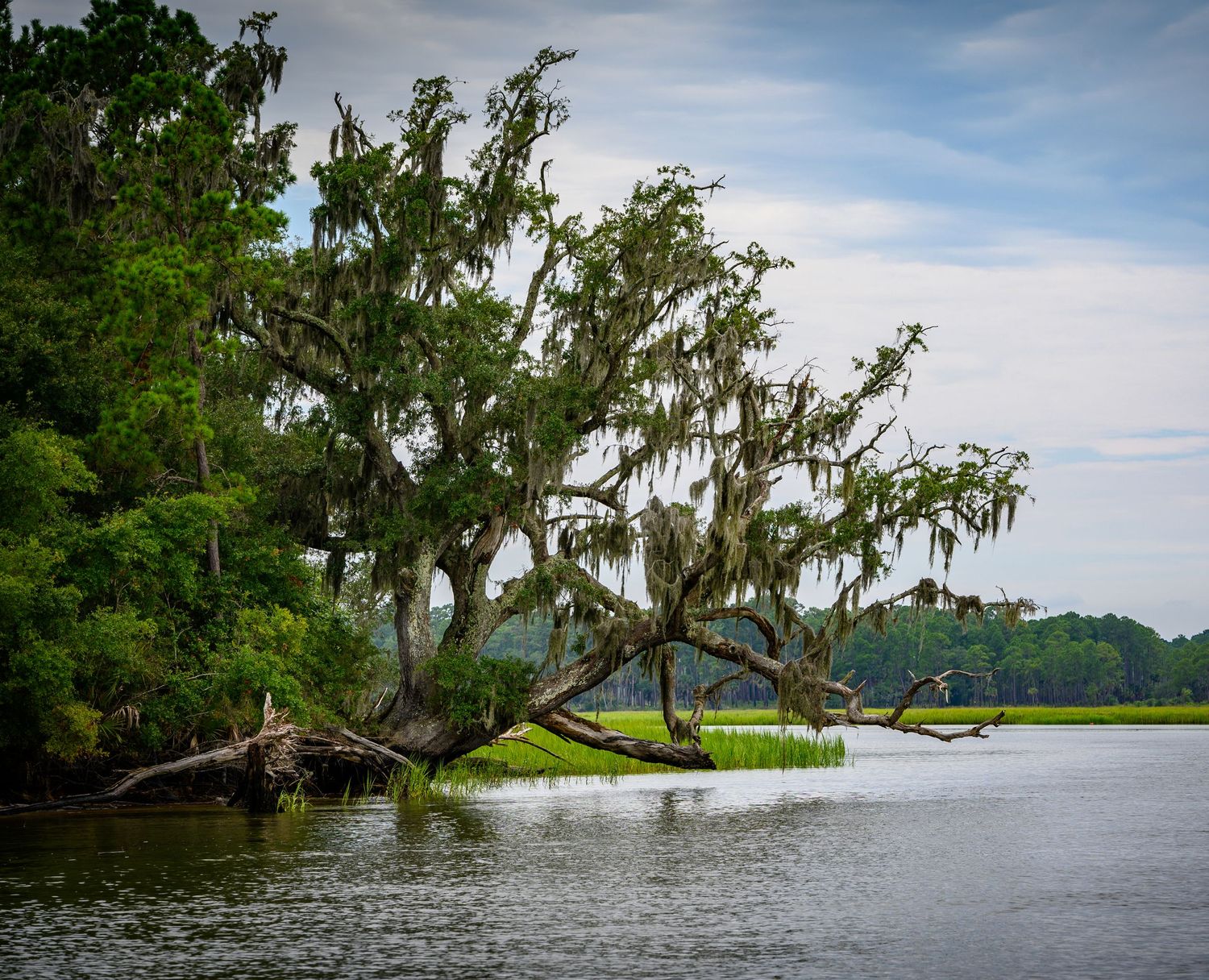South Carolina Intercostal
©Photography by John Talbert LLC