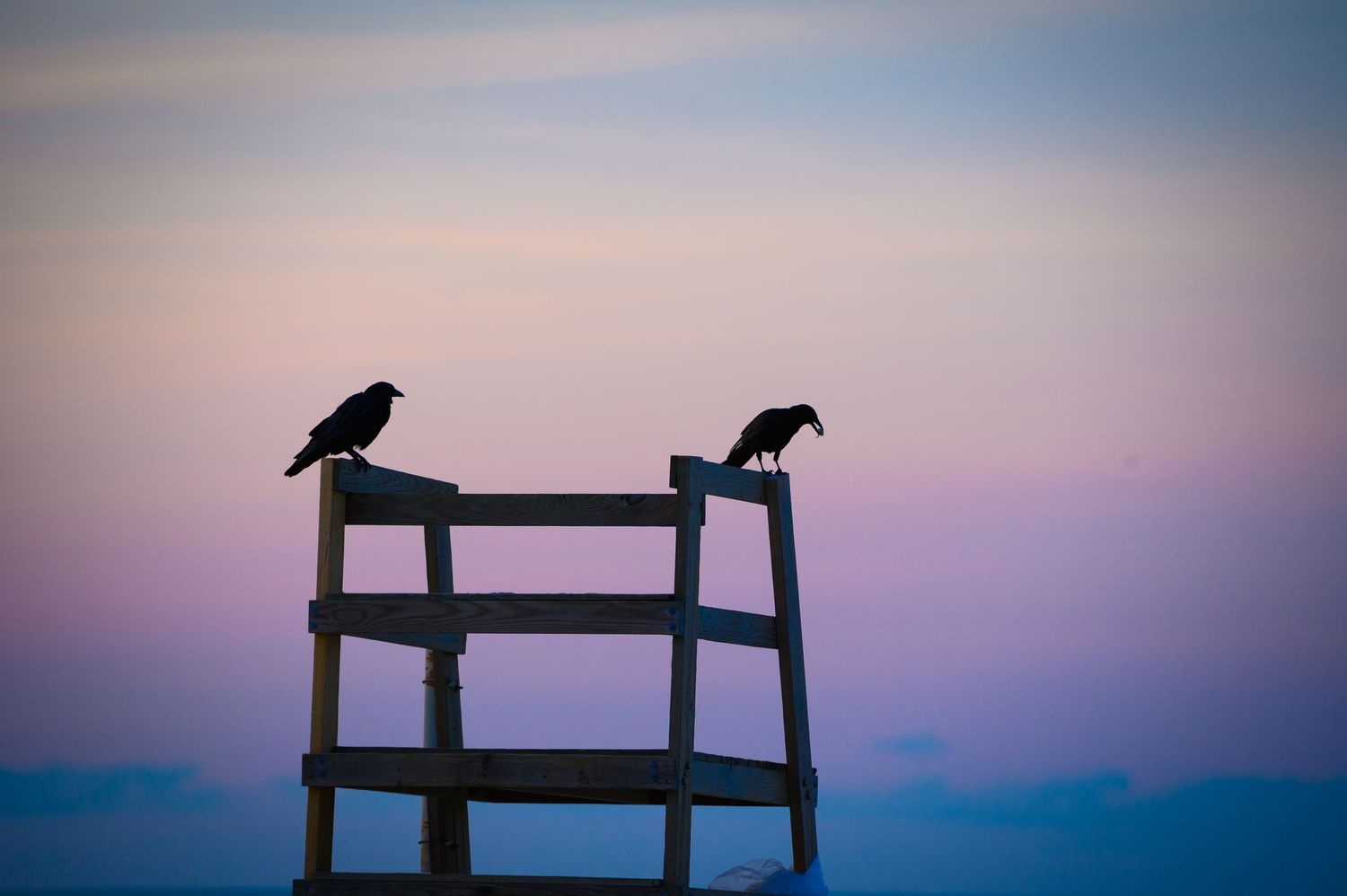 Hilton Head, SC
©Photography by John Talbert LLC