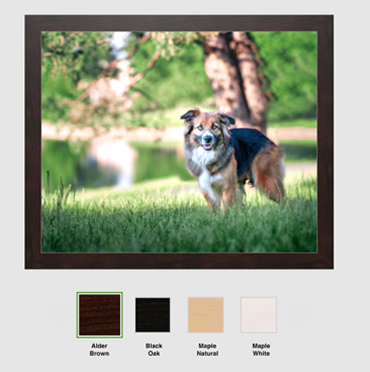 Enhance your space with a Fetch Light Photography framed canvas, showcasing canine companions in Wildomar, CA